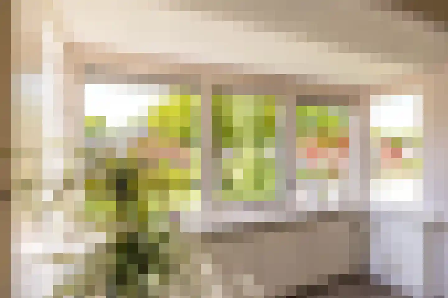 Ebbingekamp 4 Zuidlaren thumbnail 43