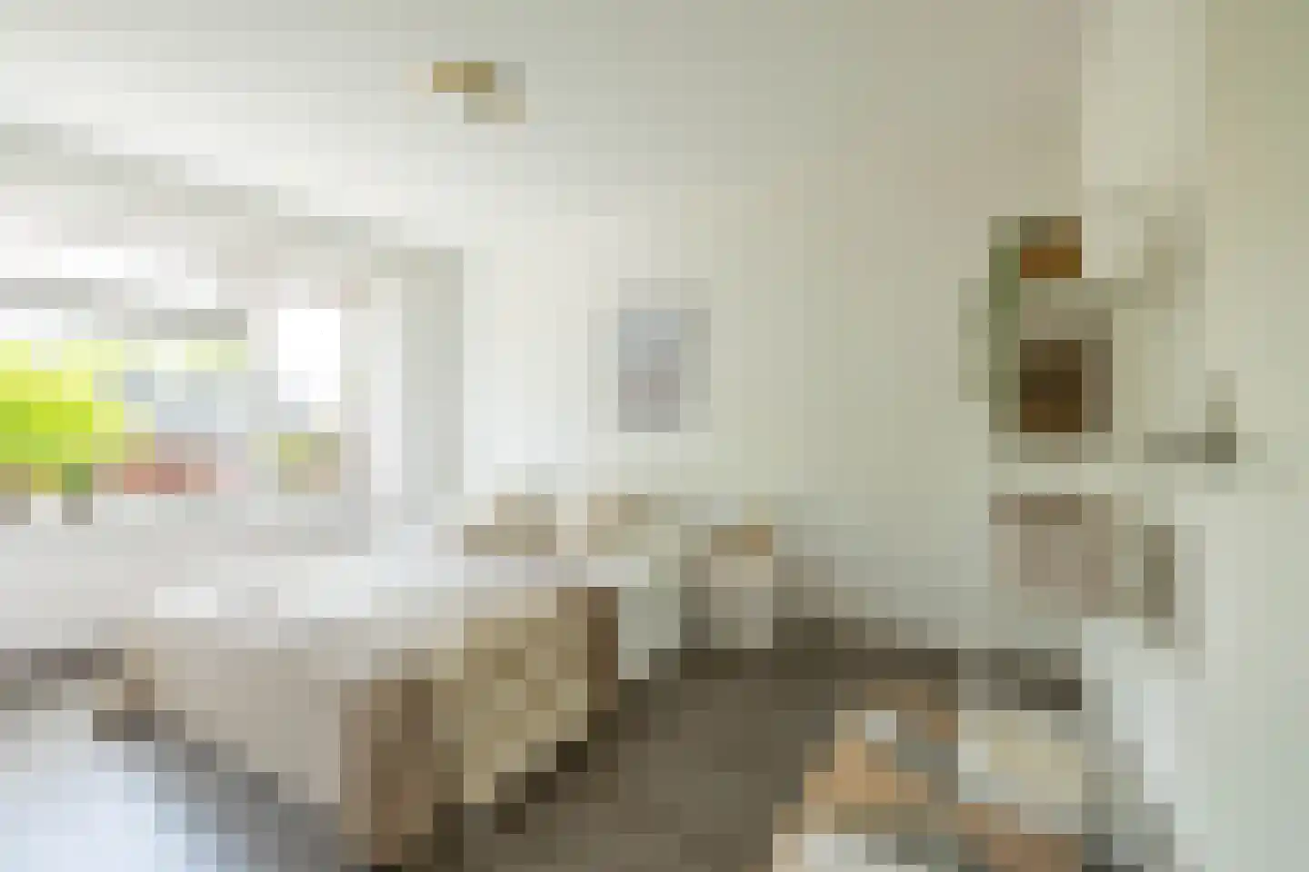 Ebbingekamp 4 Zuidlaren thumbnail 44