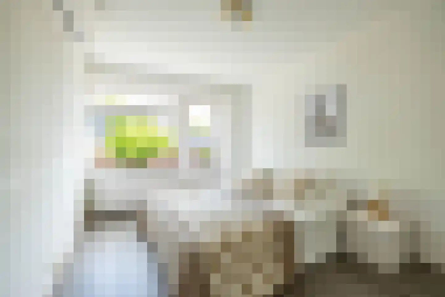 Ebbingekamp 4 Zuidlaren thumbnail 45