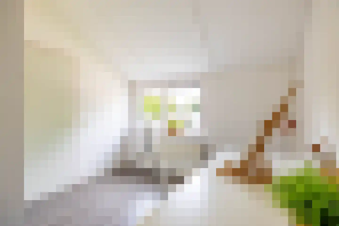 Ebbingekamp 4 Zuidlaren thumbnail 55