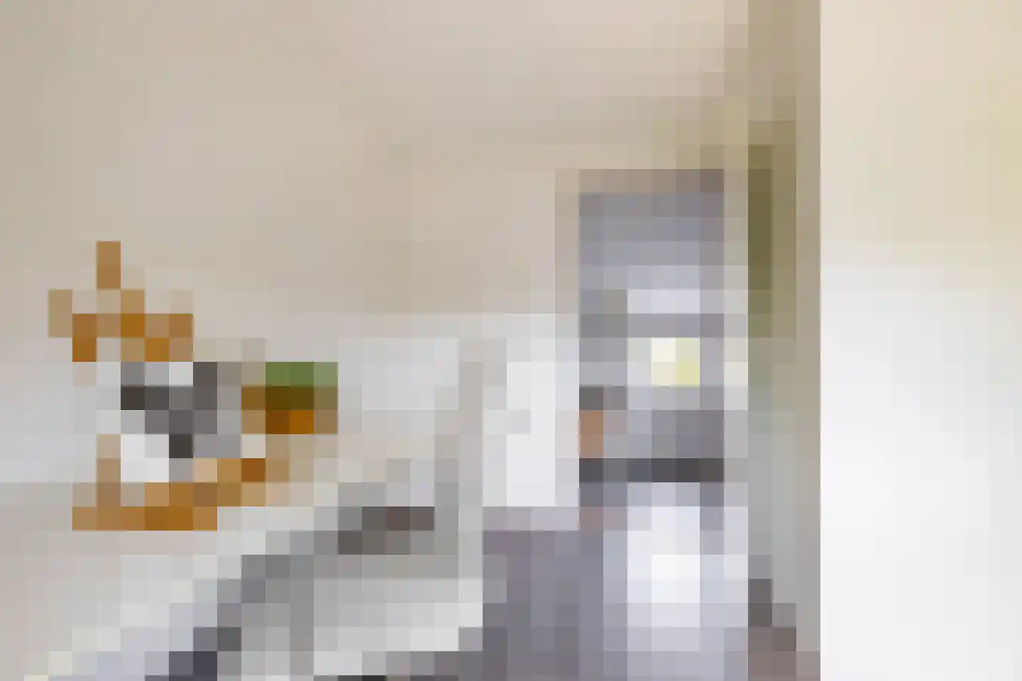 Ebbingekamp 4 Zuidlaren thumbnail 56