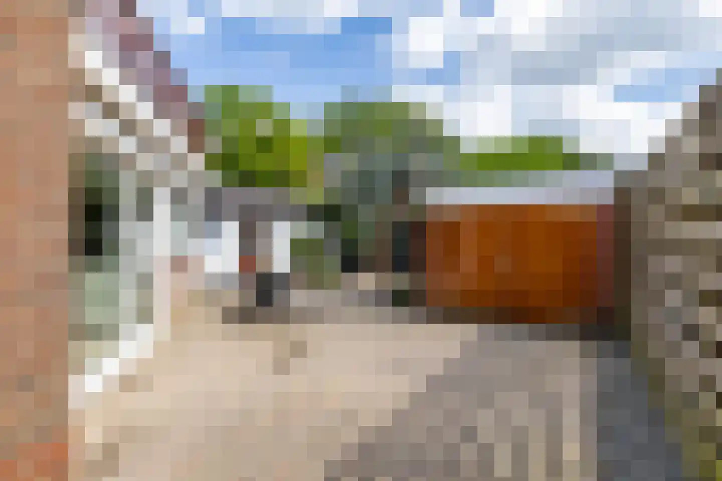 Ebbingekamp 4 Zuidlaren thumbnail 59