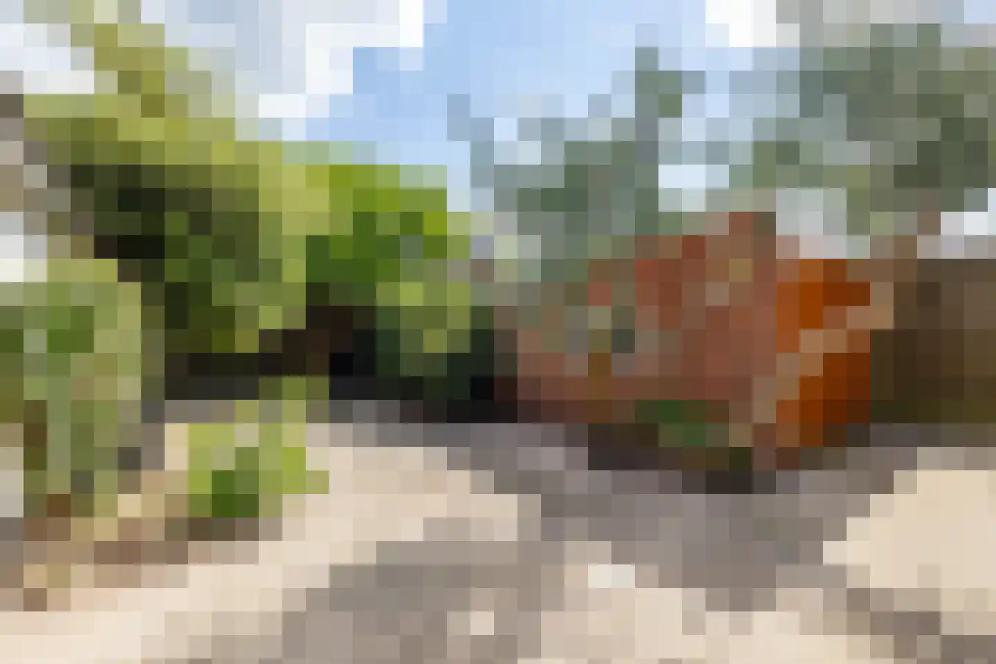 Ebbingekamp 4 Zuidlaren thumbnail 60