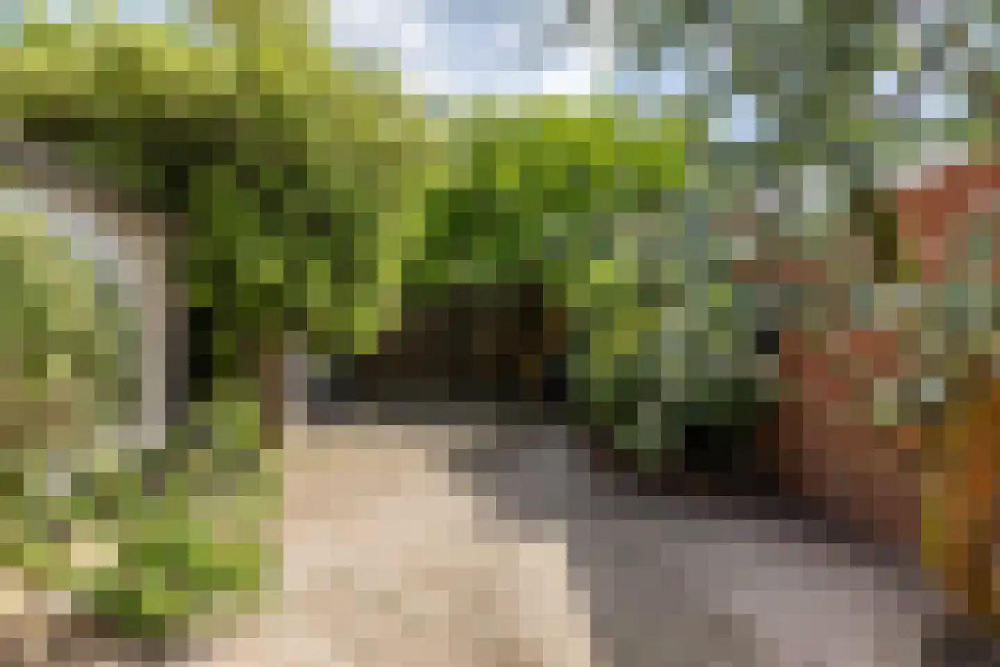 Ebbingekamp 4 Zuidlaren thumbnail 62