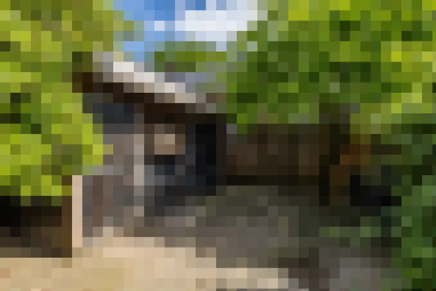 Ebbingekamp 4 Zuidlaren thumbnail 63