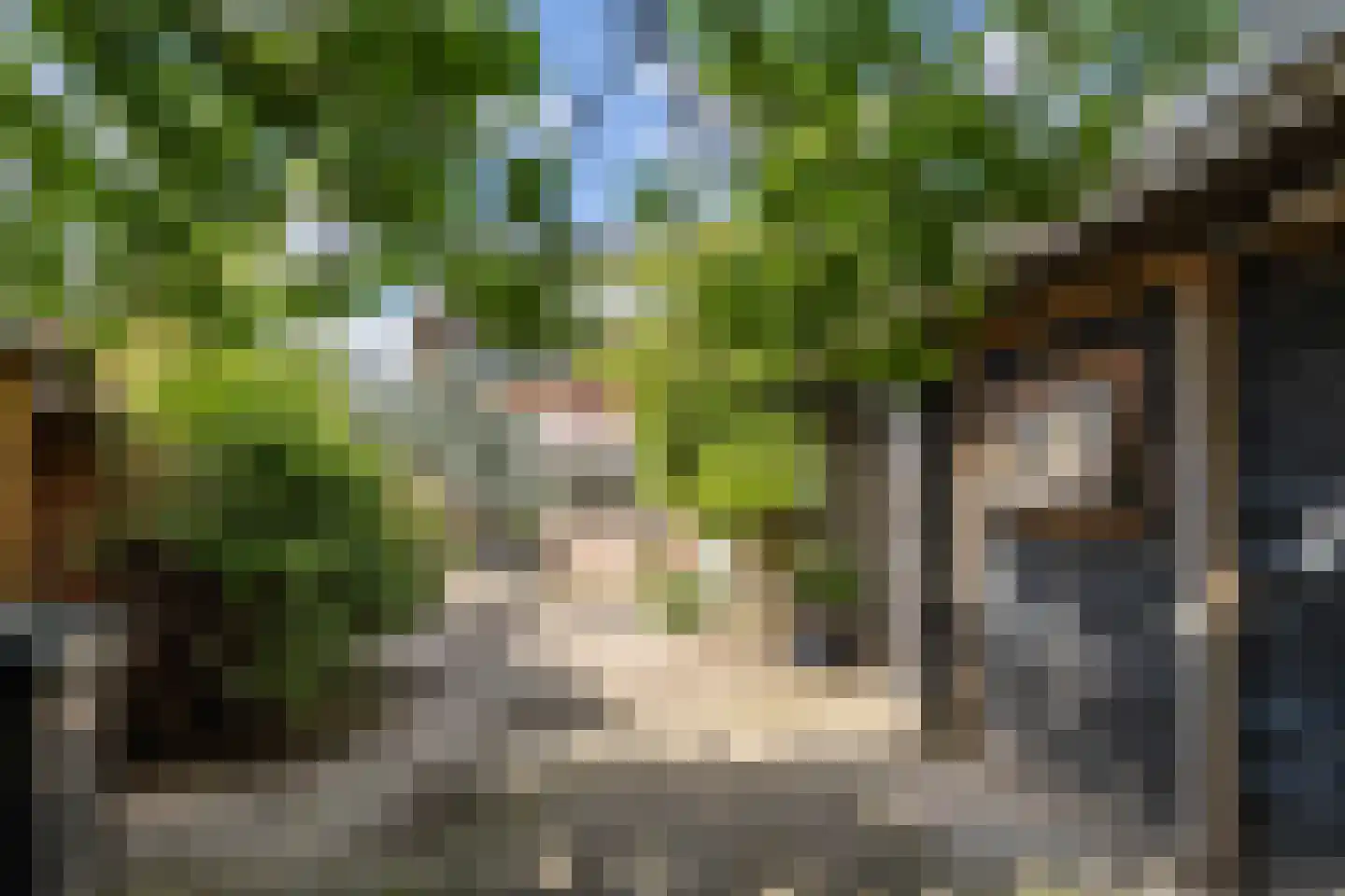 Ebbingekamp 4 Zuidlaren thumbnail 65