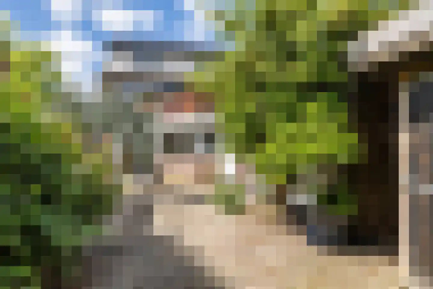 Ebbingekamp 4 Zuidlaren thumbnail 66