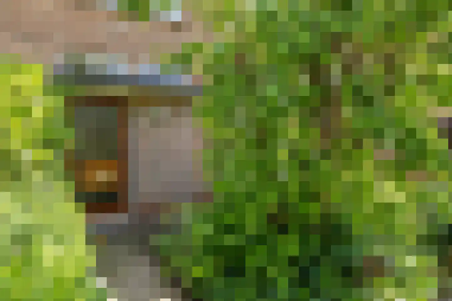 Ebbingekamp 4 Zuidlaren thumbnail 9