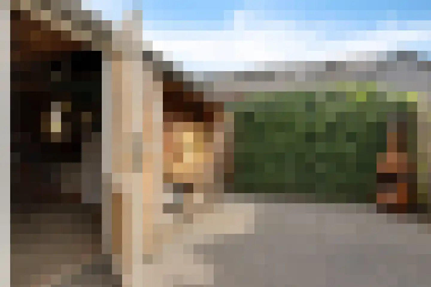 Ebbingekamp 42 Zuidlaren thumbnail 18