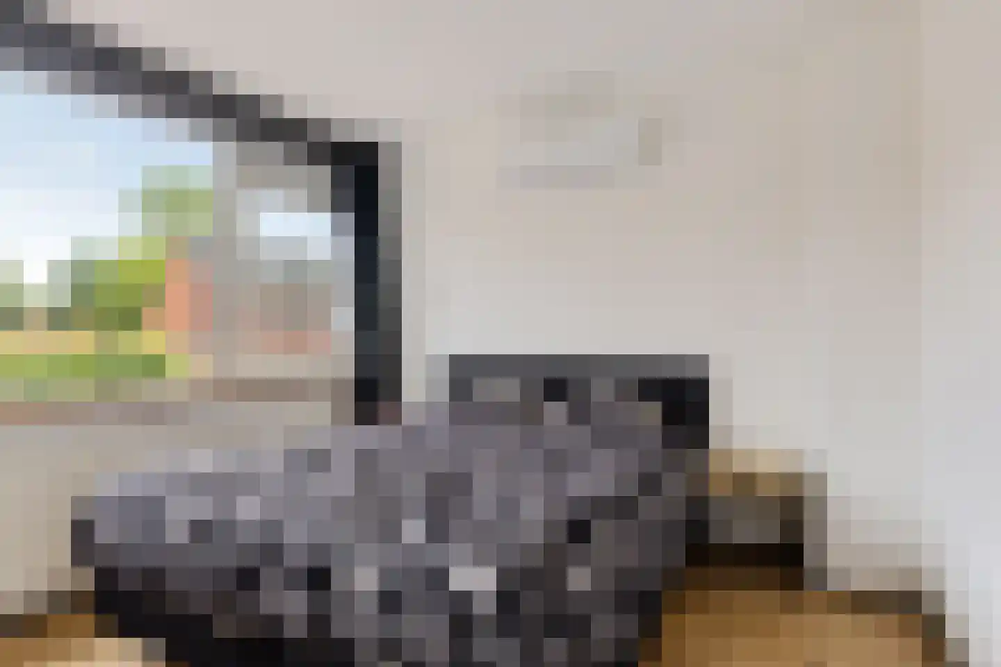 Ebbingekamp 42 Zuidlaren thumbnail 25