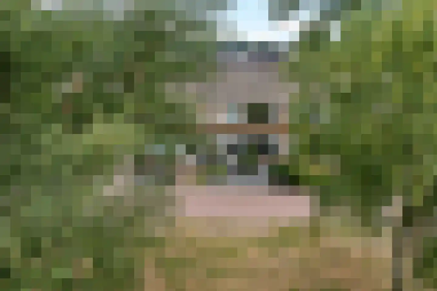 Ebbingekamp 42 Zuidlaren thumbnail 33
