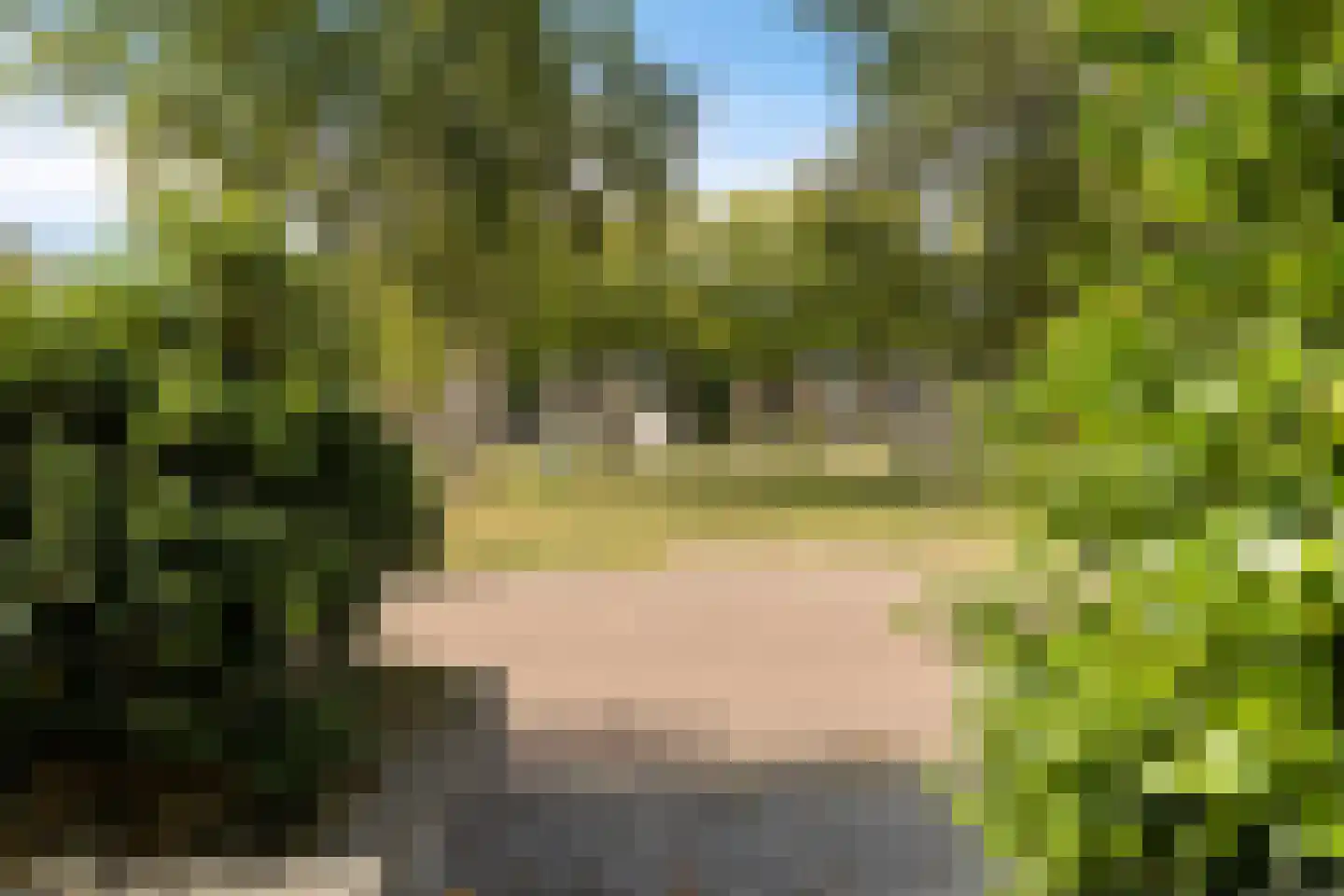 Ebbingekamp 42 Zuidlaren thumbnail 34