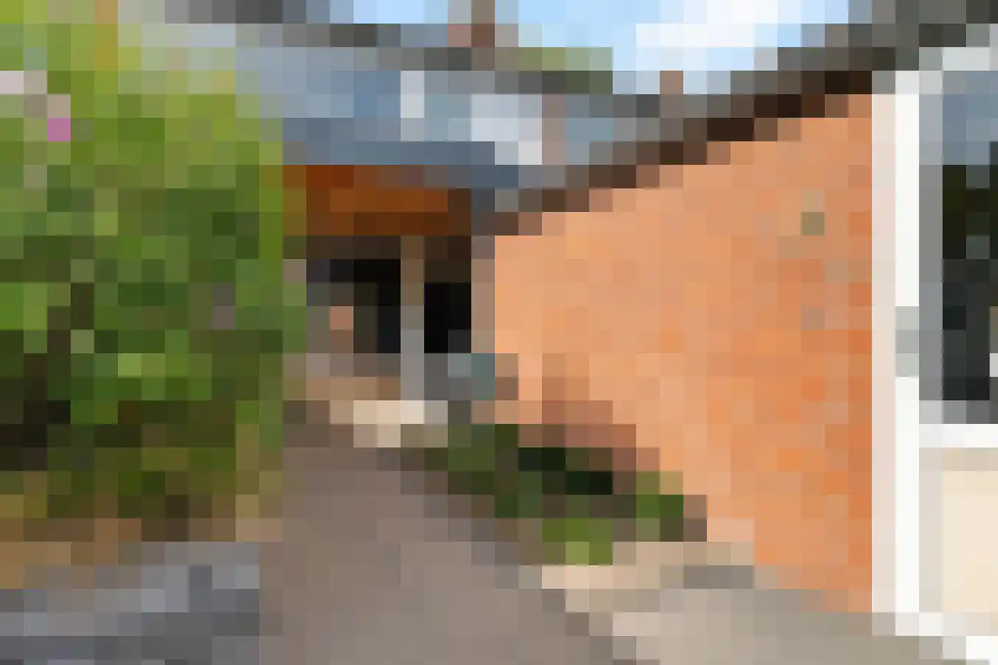 Ebbingekamp 42 Zuidlaren thumbnail 35