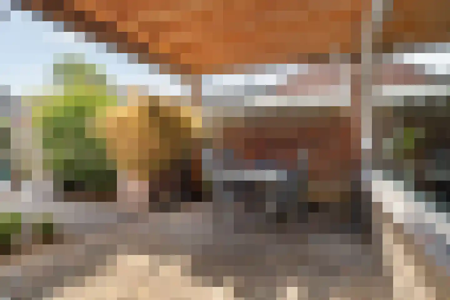 Ebbingekamp 42 Zuidlaren thumbnail 37