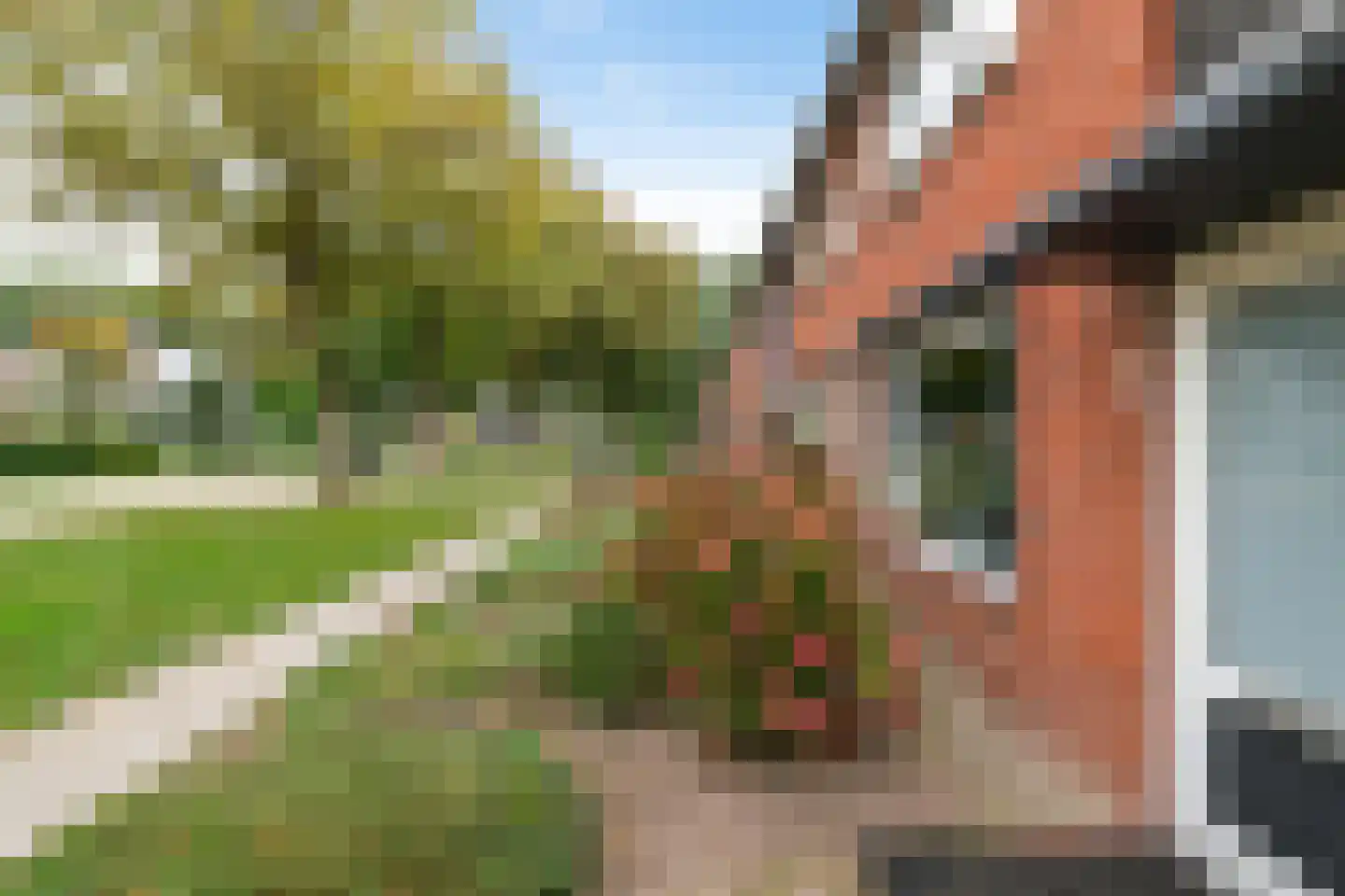 Ebbingekamp 43 Zuidlaren thumbnail 12