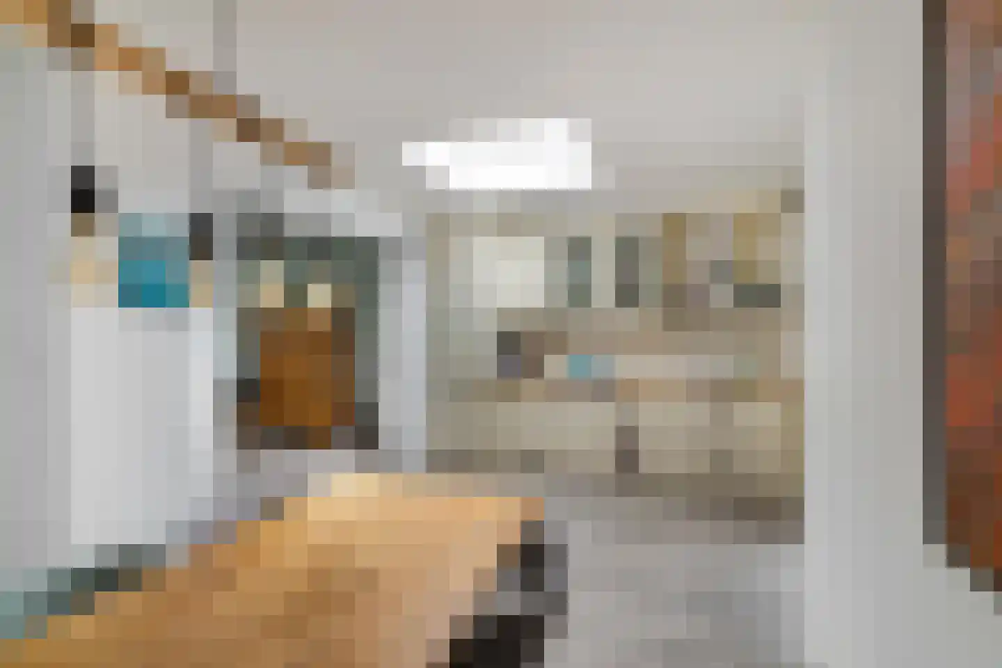Ebbingekamp 43 Zuidlaren thumbnail 22