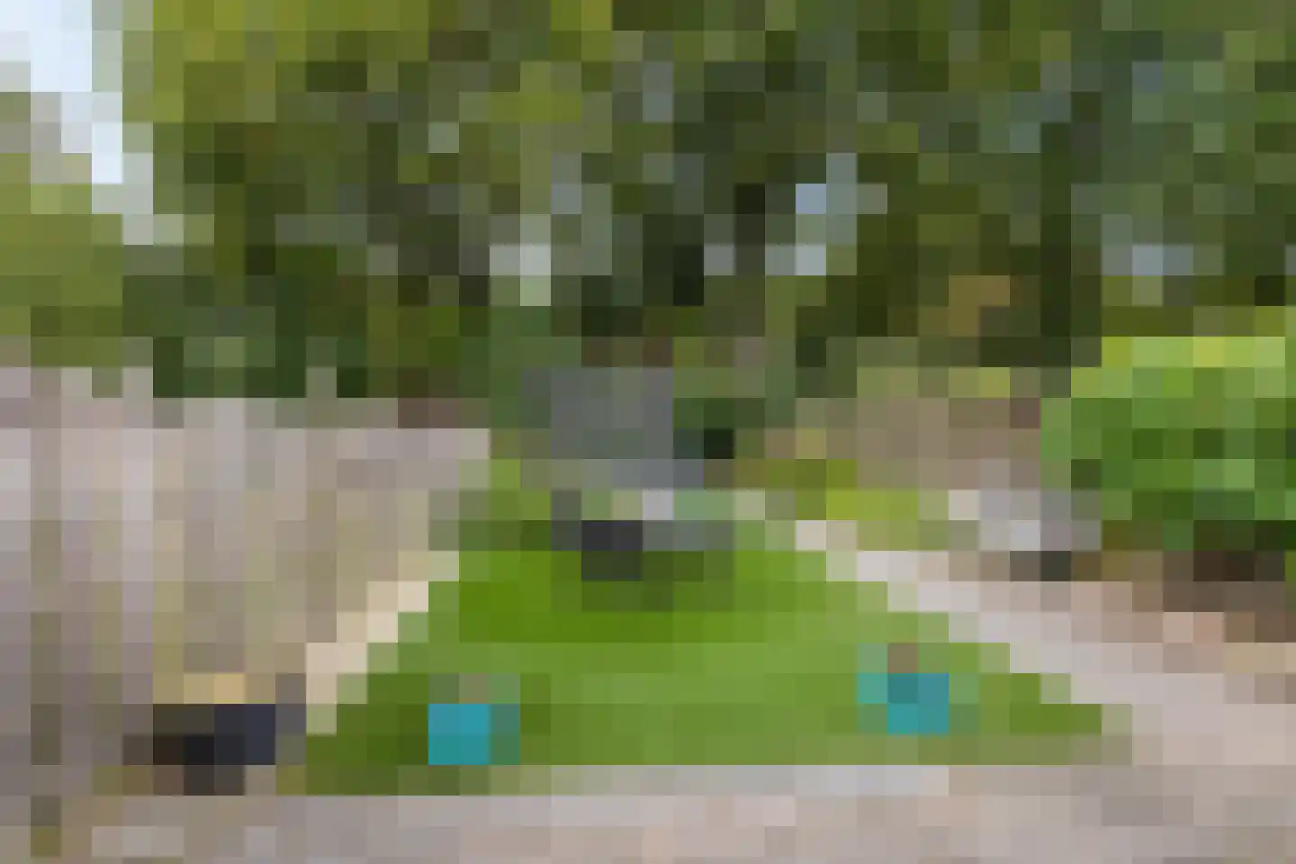 Ebbingekamp 43 Zuidlaren thumbnail 26