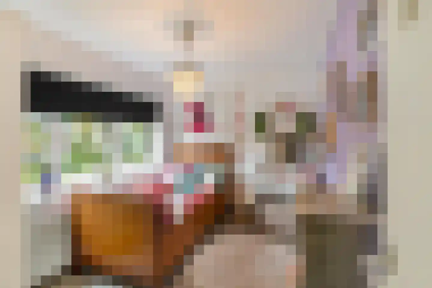 Ebbingekamp 43 Zuidlaren thumbnail 35