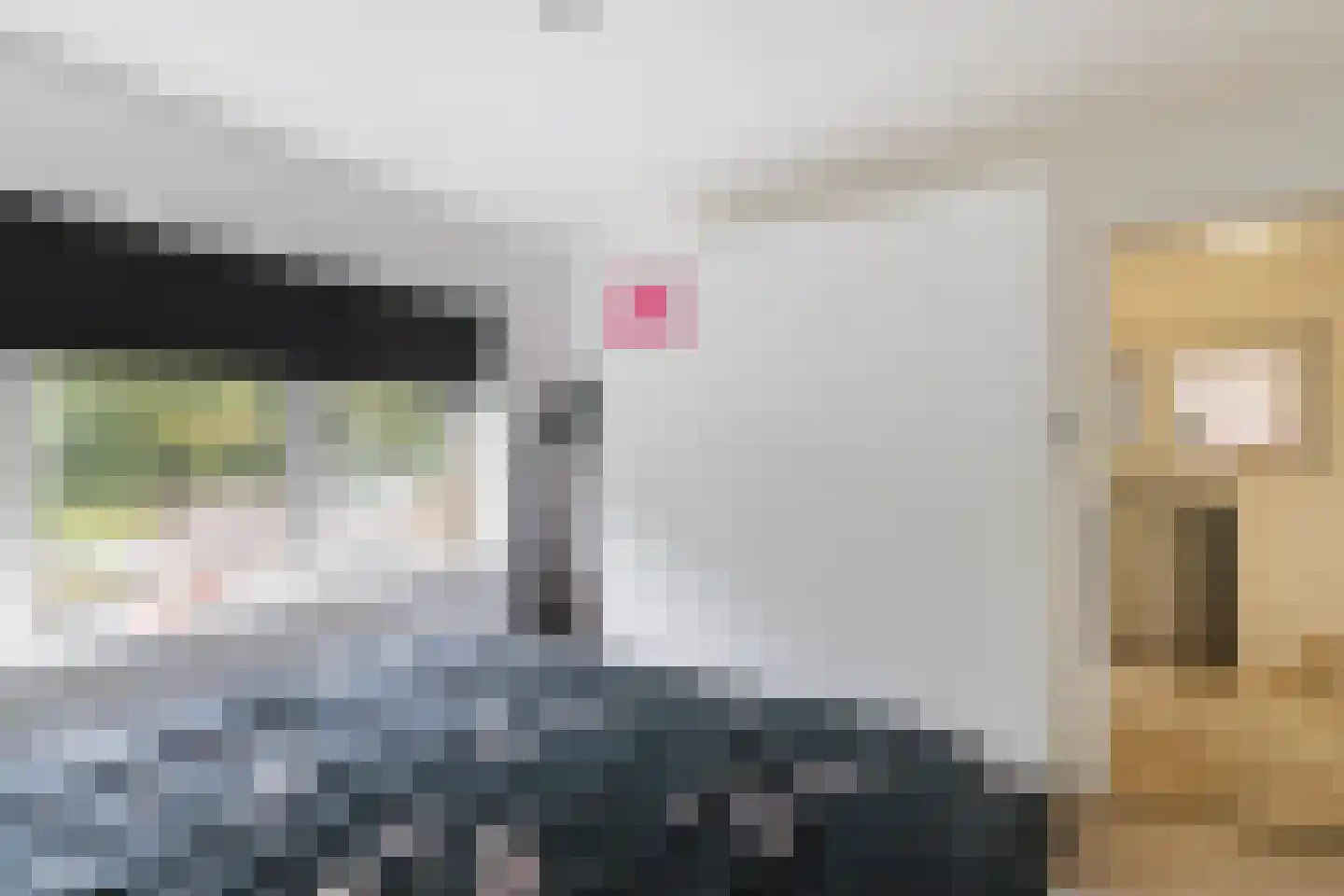 Ebbingekamp 43 Zuidlaren thumbnail 39