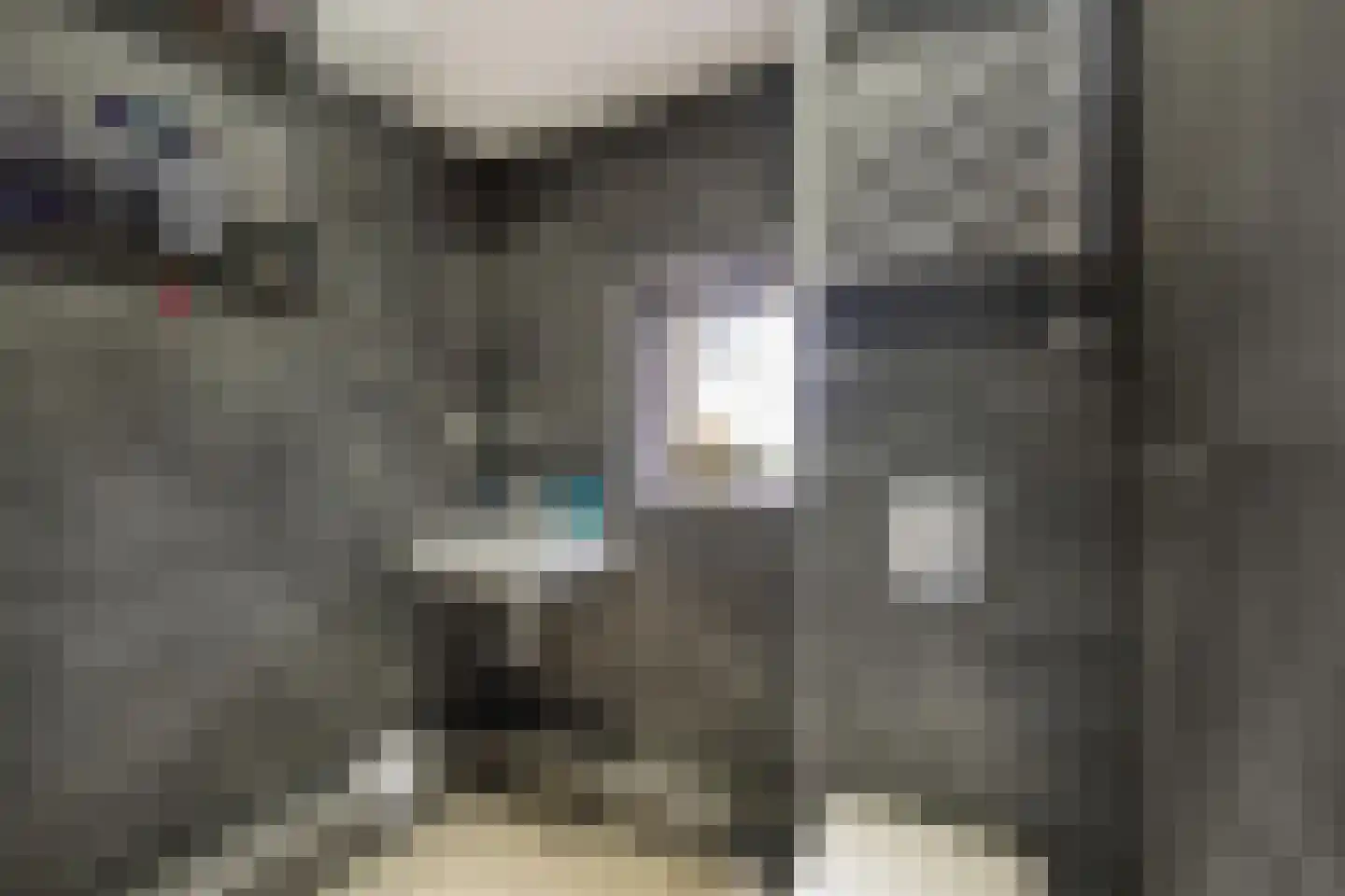Ebbingekamp 43 Zuidlaren thumbnail 8