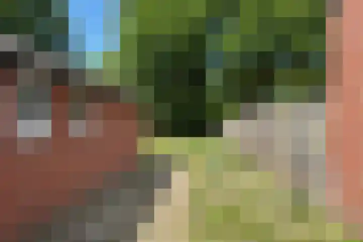 Ebbingekamp 45 Zuidlaren thumbnail 20