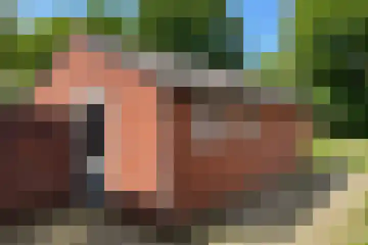 Ebbingekamp 45 Zuidlaren thumbnail 21