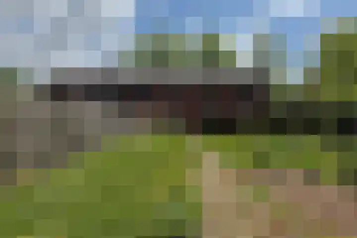 Ebbingekamp 45 Zuidlaren thumbnail 22