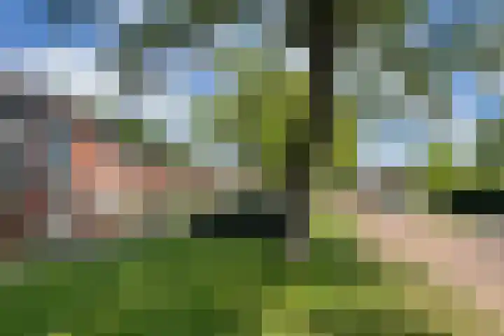 Ebbingekamp 45 Zuidlaren thumbnail 23