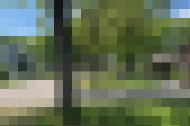 Ebbingekamp 45 Zuidlaren thumbnail 24