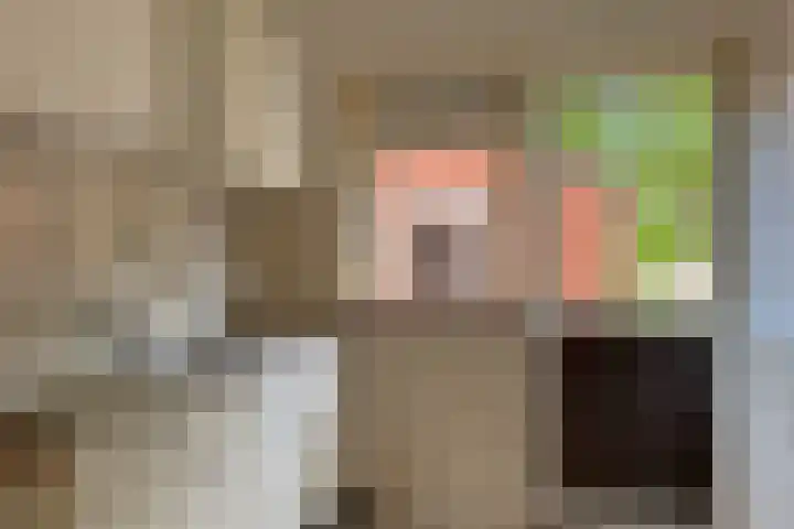 Ebbingekamp 45 Zuidlaren thumbnail 6