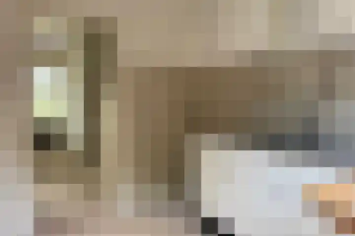 Ebbingekamp 45 Zuidlaren thumbnail 7