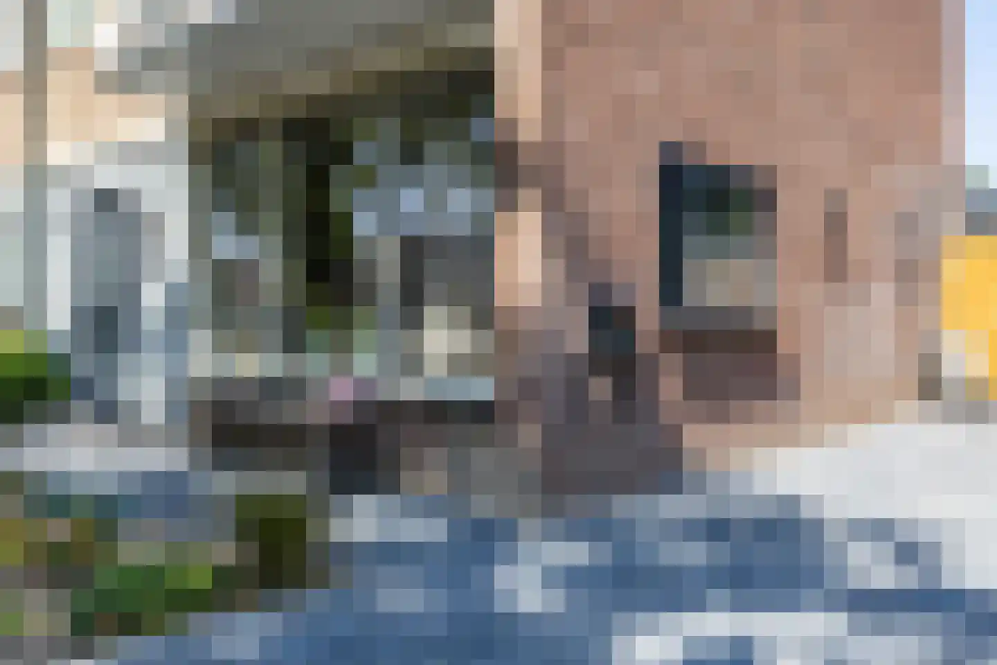 Ebbingekamp 5 Zuidlaren thumbnail 12