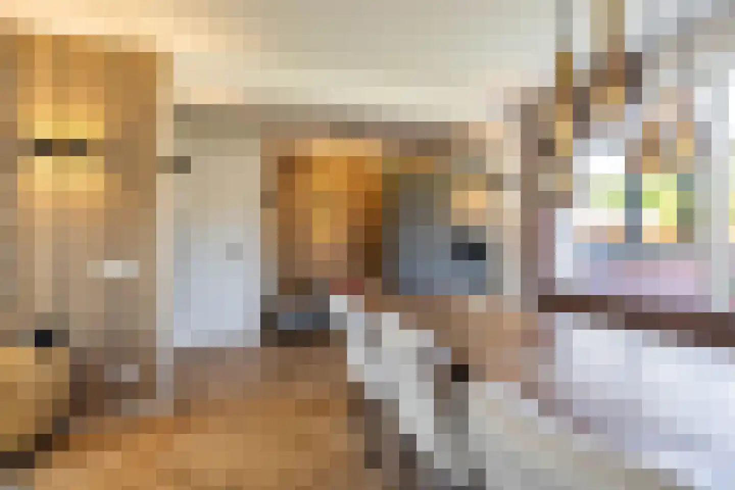 Ebbingekamp 5 Zuidlaren thumbnail 26