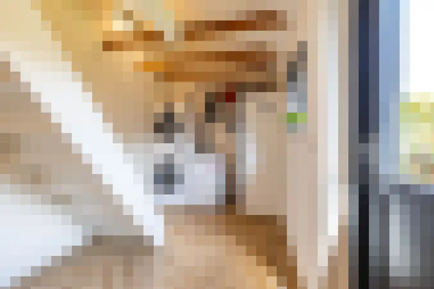 Ebbingekamp 5 Zuidlaren thumbnail 35