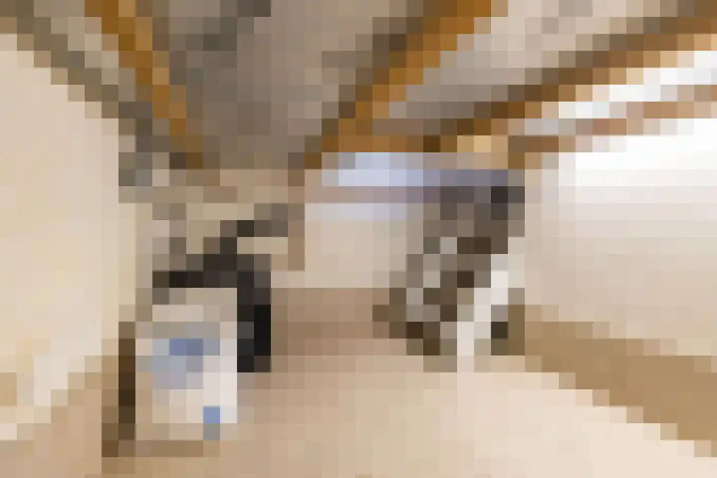 Ebbingekamp 5 Zuidlaren thumbnail 38