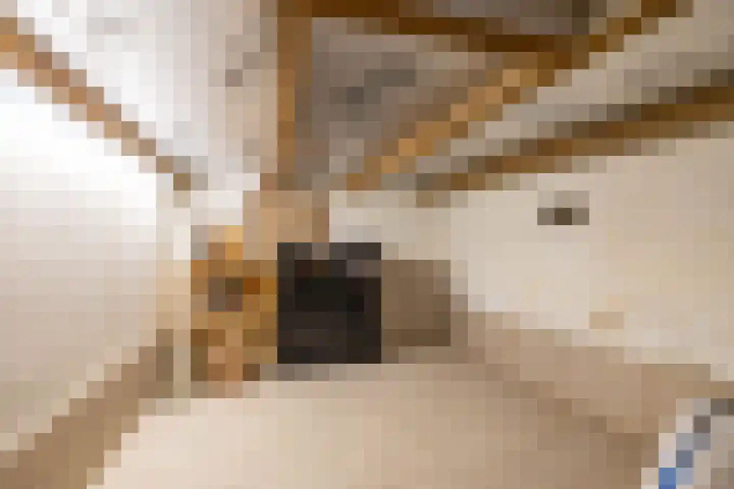 Ebbingekamp 5 Zuidlaren thumbnail 39