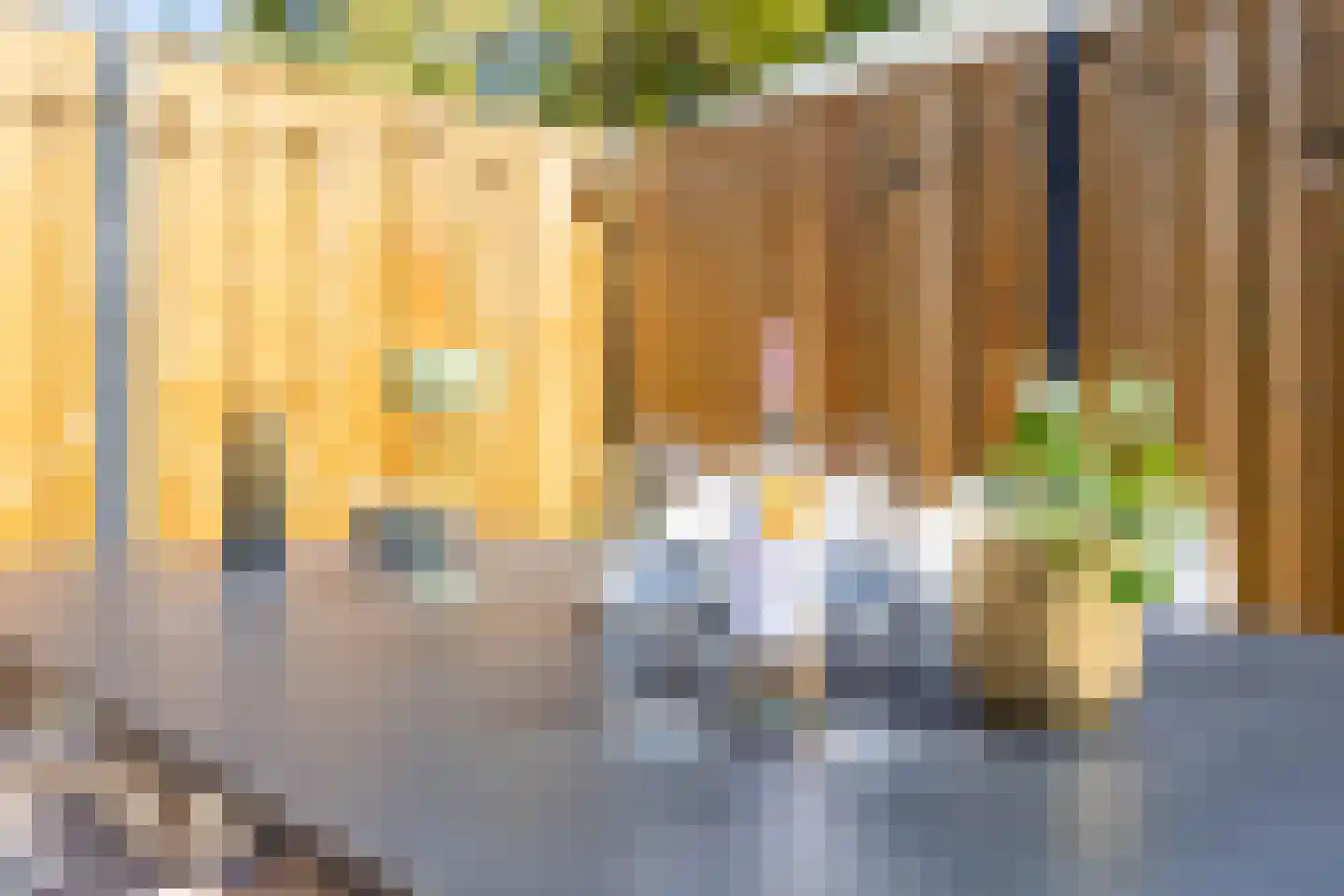 Ebbingekamp 5 Zuidlaren thumbnail 52