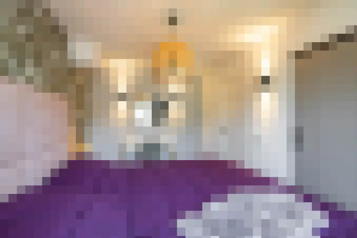 Ebbingekamp 5 Zuidlaren thumbnail 66