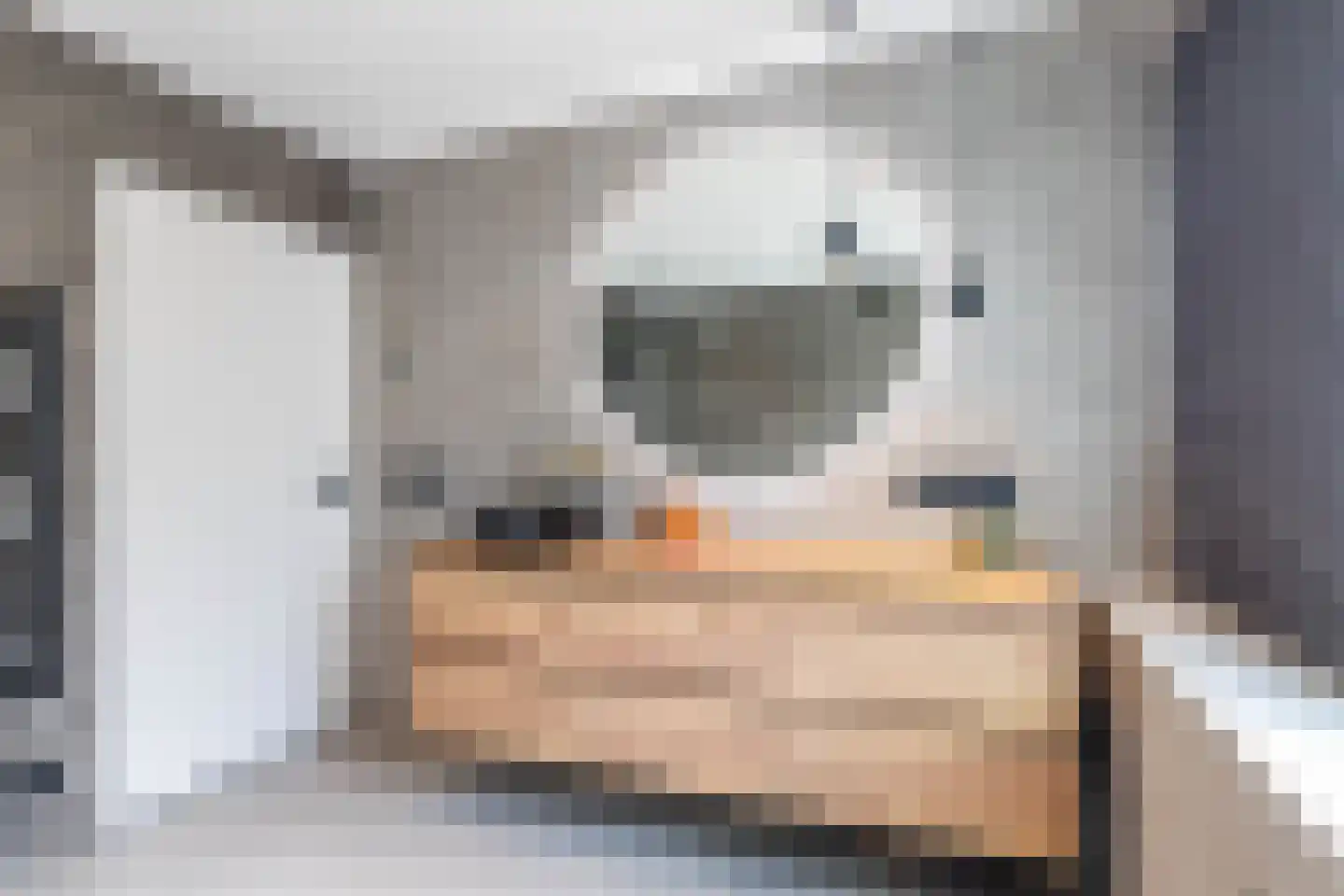 Ebbingekamp 5 Zuidlaren thumbnail 68