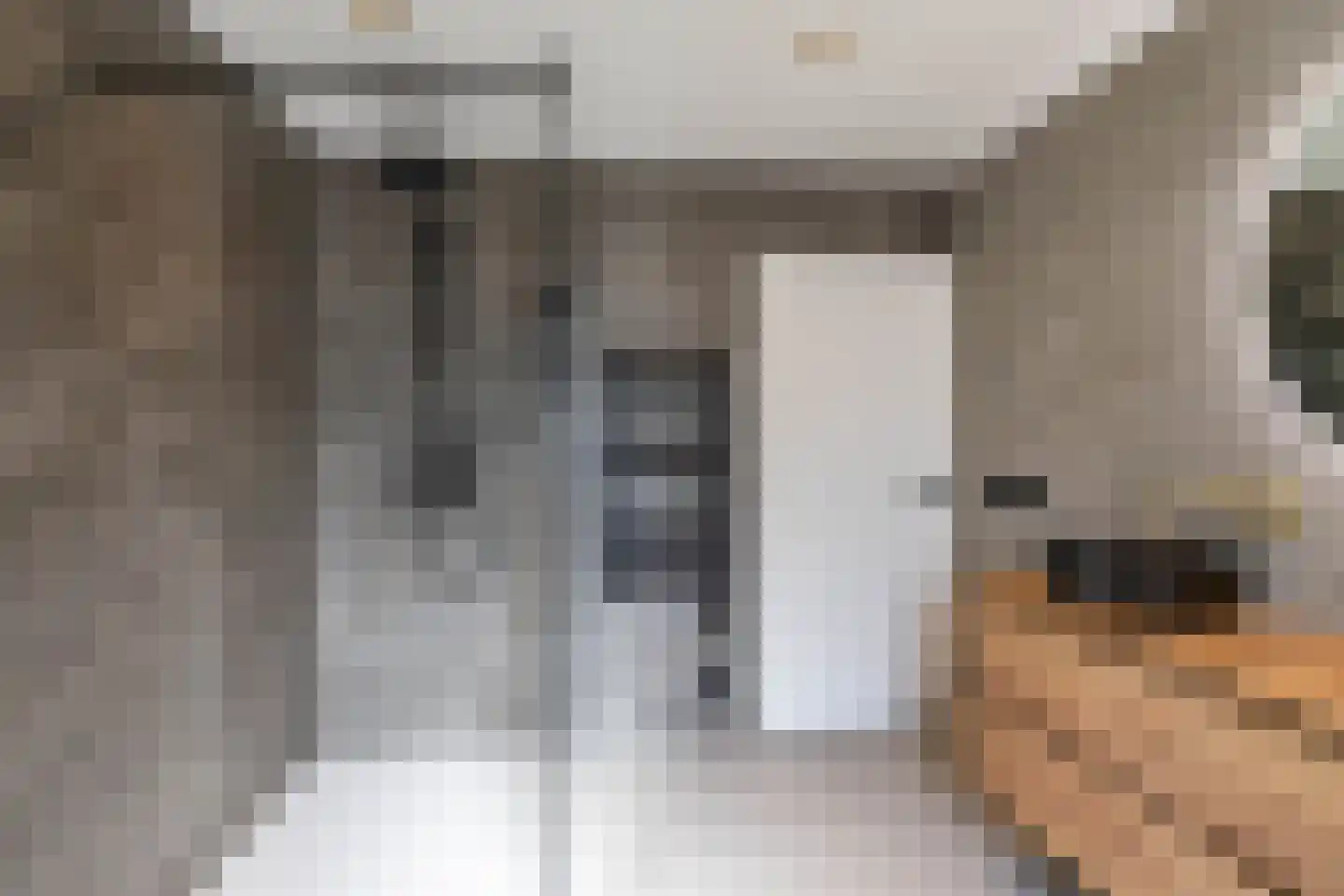 Ebbingekamp 5 Zuidlaren thumbnail 70