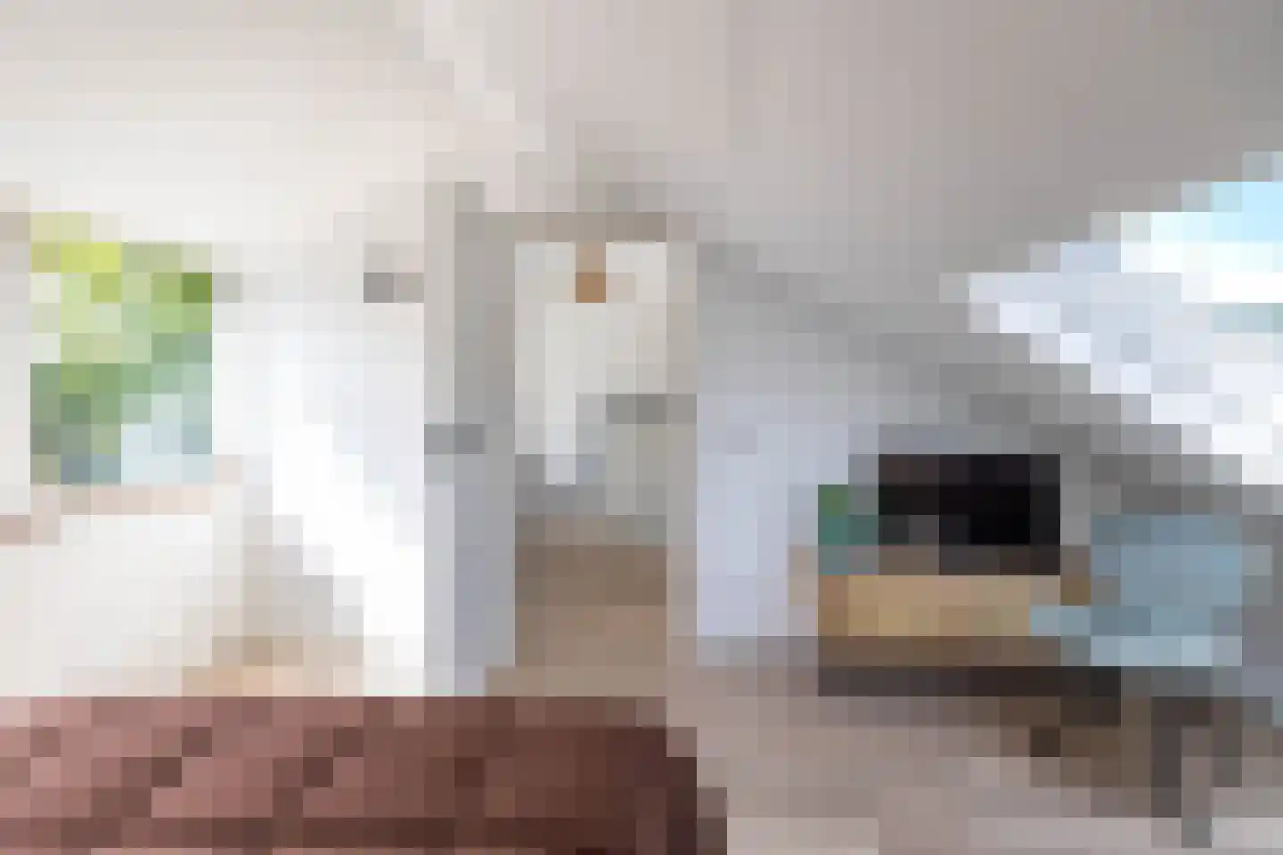 Ebbingekamp 5 Zuidlaren thumbnail 74
