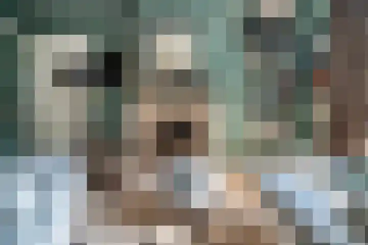 Ebbingeweg 6 Bentveld thumbnail 13