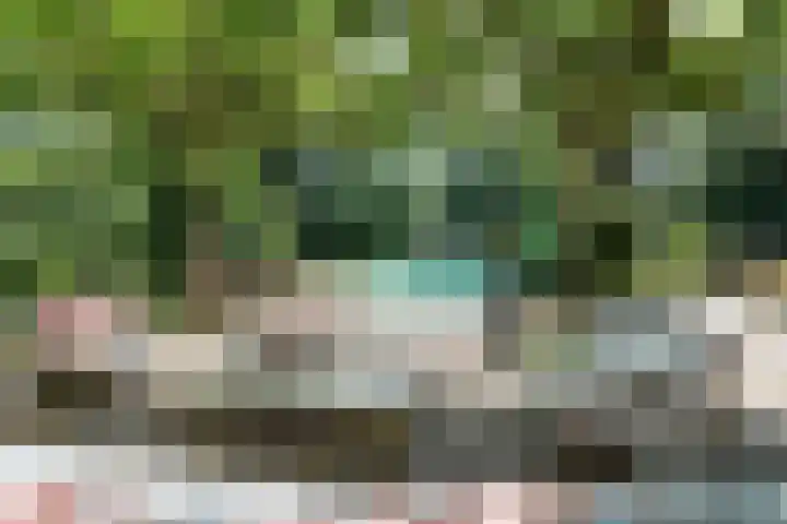 Ebbingeweg 6 Bentveld thumbnail 20