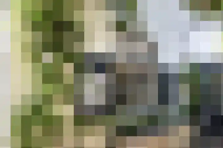 Ebbingeweg 6 Bentveld thumbnail 21