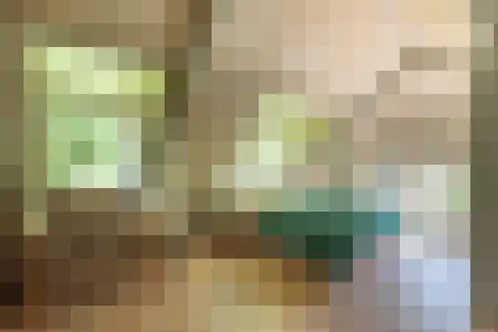 Ebbingeweg 6 Bentveld thumbnail 23