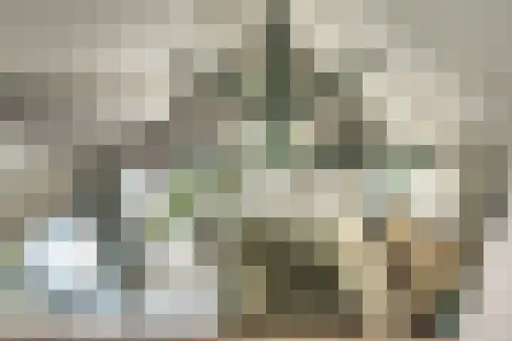 Ebbingeweg 6 Bentveld thumbnail 24