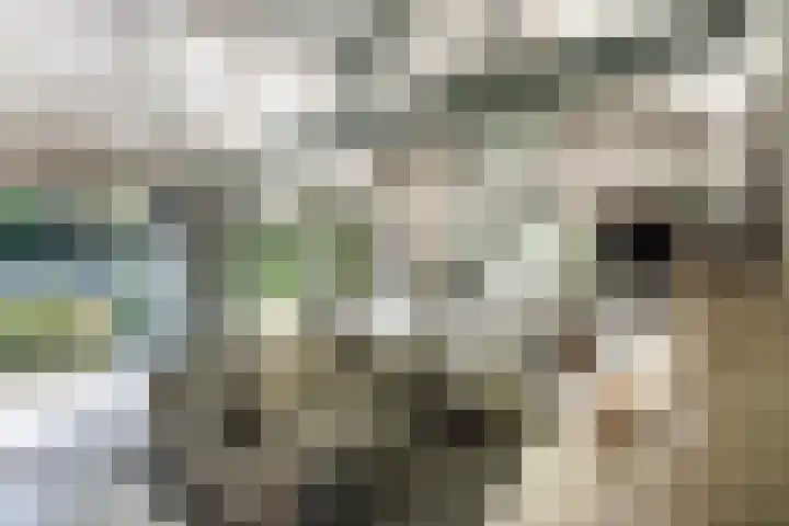 Ebbingeweg 6 Bentveld thumbnail 25