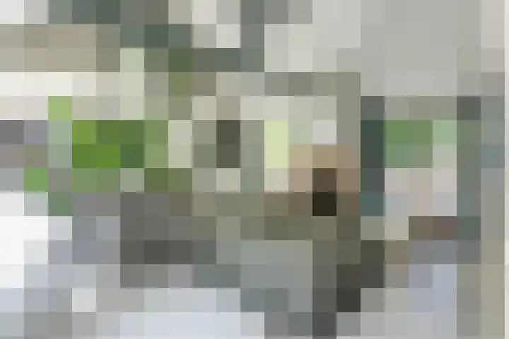 Ebbingeweg 6 Bentveld thumbnail 26