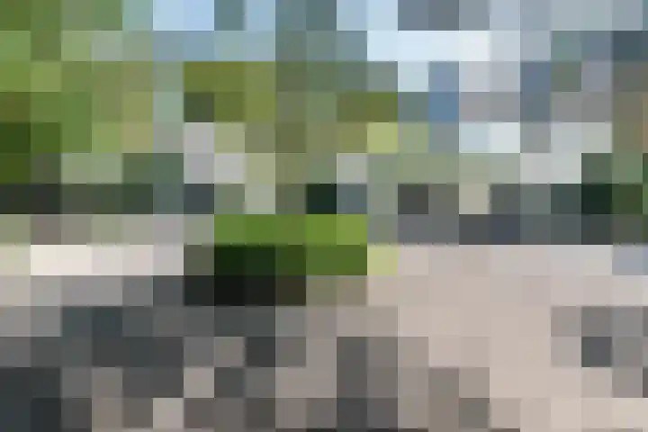 Ebbingeweg 6 Bentveld foto 3