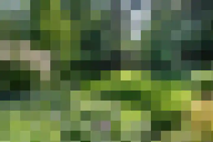 Ebbingeweg 6 Bentveld thumbnail 30